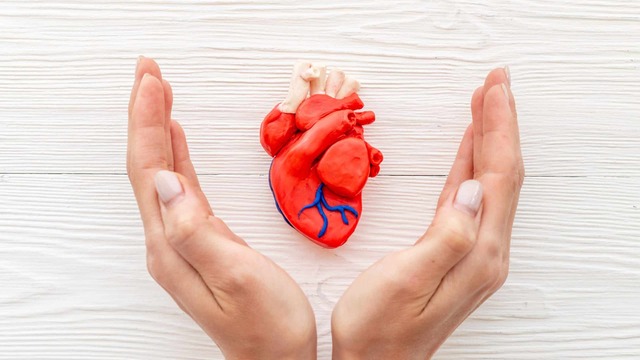 10 Kebiasaan Sehat yang Membantu Menjaga Kesehatan Jantung